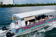 Clearwater Beach Dolphin Excursion 1.5 hr thumbnail 1