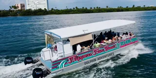 Clearwater Beach Dolphin Excursion 1.5 hr
