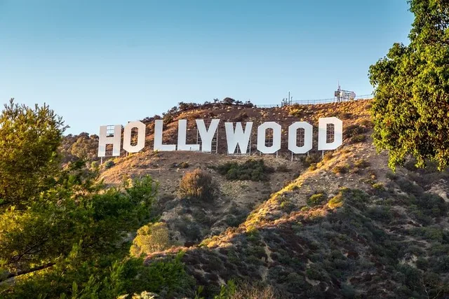 Los Angeles Private Airport Transfer in SUV - Image 5