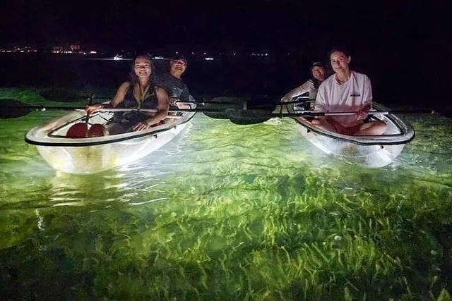 Sarasota Clear Kayak LED Night Tour - Image 2