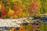Boston Fall Foliage Day Trip to White Mountains thumbnail 4