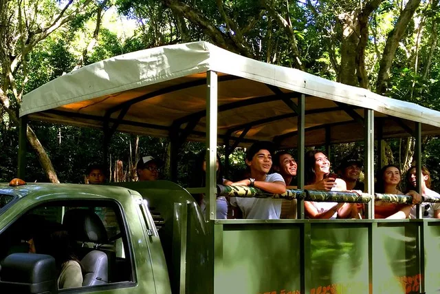 Kaneohe Jungle Expedition Tour - Image 3