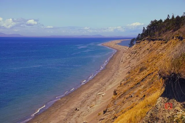 Olympic National Park Self-Guided Audio Driving Tour - Image 5