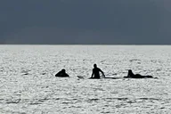 Lahaina Surfing Lesson with Local Instructor 2 hr thumbnail 2