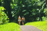 Maui Road to Hana Tour with Guide thumbnail 5