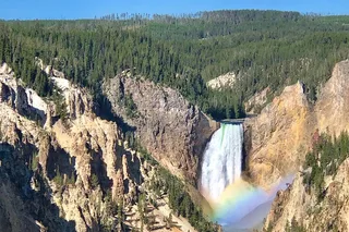 Yellowstone Wildlife and Scenic Sites Tour
