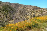 Phoenix Gold Mine Jeep Adventure thumbnail 4