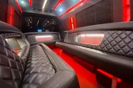 Charleston Party Bus Transportation thumbnail 4