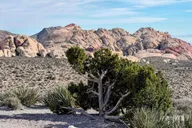 Las Vegas Red Rock Canyon and Hoover Dam Tour thumbnail 1