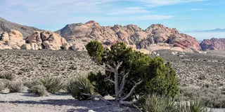 Las Vegas Red Rock Canyon and Hoover Dam Tour