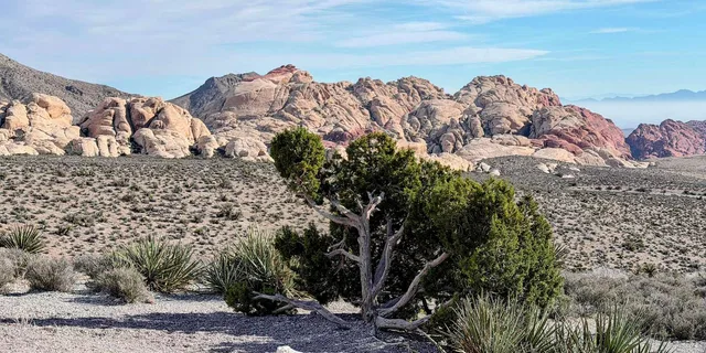 Las Vegas Red Rock Canyon and Hoover Dam Tour - Image 1
