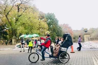 New York Central Park Pedicab Tour thumbnail 6