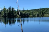 Fairbanks Fishing Trip with Hotel Pickup 3.5 hr thumbnail 3