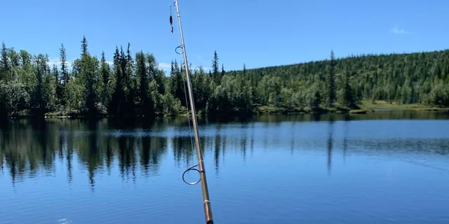 Fairbanks Fishing Trip with Hotel Pickup 3.5 hr - Image 3