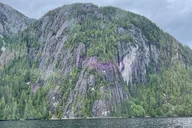 Ketchikan Misty Fjords Boat Expedition thumbnail 6