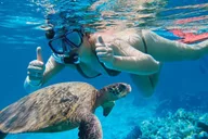 Maui Turtle Town Eco Adventure thumbnail 2