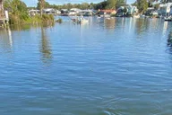 Crystal River Manatee Eco-Tour Boat Ride thumbnail 5