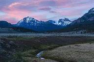 Yellowstone Wildlife Photography Tour thumbnail 2
