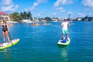 Sarasota Lido Key Mangrove Tunnel Kayak Tour 2 hr thumbnail 4