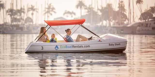 San Diego Bay Dog-Friendly Pedal Boat Rental - Image 1