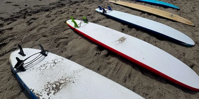 Santa Monica Surfing Day Trip - Image 3