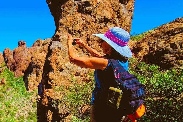 Scottsdale Apache Trail & Superstition Mountain Tour - Image 1