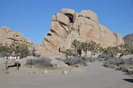 Los Angeles Joshua Tree National Park Private Tour 2-Day thumbnail 4