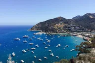 Catalina Island Avalon Scenic Tour thumbnail 1