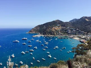 Catalina Island Avalon Scenic Tour