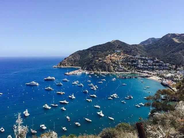 Catalina Island Avalon Scenic Tour - Image 1