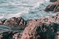 San Francisco Fitness Pass thumbnail 5