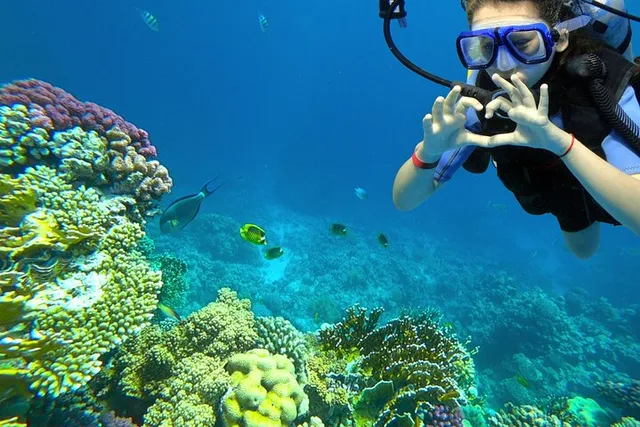 Key Largo Scuba Diving Lesson with Instructor - Image 2