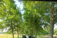 Gettysburg Horse-Drawn Carriage Tour Countryside thumbnail 3