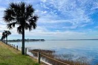 Charleston Bird Watching Tour 75 Min thumbnail 3