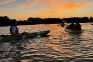 Sarasota Glass Bottom Kayak Night Tour thumbnail 4