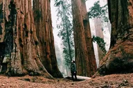 San Francisco Muir Woods Car Tour thumbnail 1