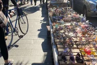 New York City French Walking Tour in Bushwick and Williamsburg 2.5 hr thumbnail 5