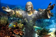 Key Largo Snorkeling and Sandbar Tour thumbnail 3