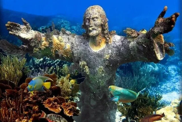 Key Largo Snorkeling and Sandbar Tour - Image 3