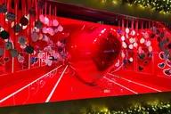 New York City Christmas Lights Tour thumbnail 3