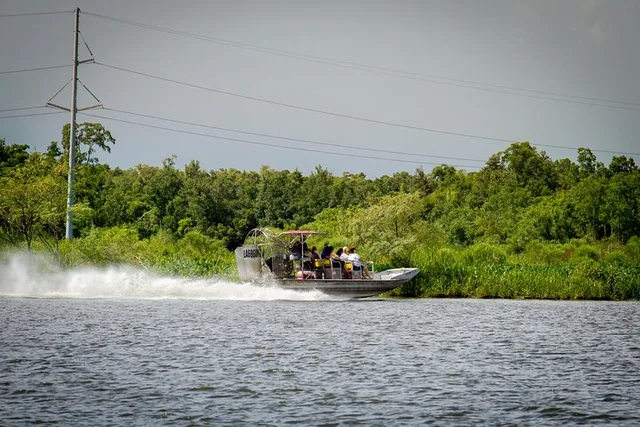 Louisiana Private Swamp Experience - Image 4