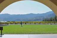 San Francisco Napa Valley Private Tour thumbnail 2