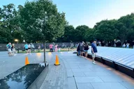 Washington DC Monuments Tour Morning or Night 3 hr thumbnail 6