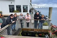 Astoria Guided Tour thumbnail 1