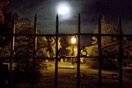 Savannah Ghost Tour with Bar Stops thumbnail 3