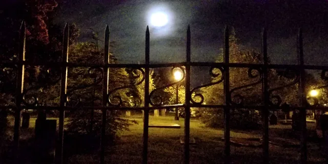 Savannah Ghost Tour with Bar Stops - Image 3