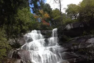 Gatlinburg Old Growth Forest Hike thumbnail 3