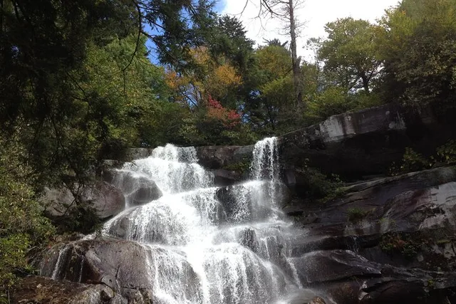 Gatlinburg Old Growth Forest Hike - Image 3