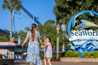 Orlando SeaWorld Park Admission Ticket thumbnail 5