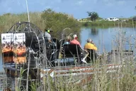 Everglades Airboat Adventure 90 Min thumbnail 4